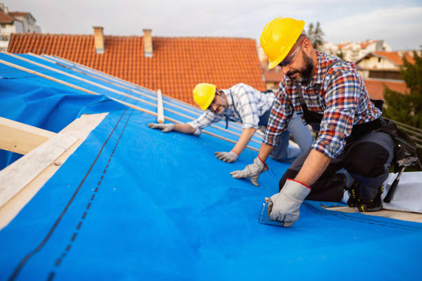Best Metal Roofing Contractor  in Hampstead, NC